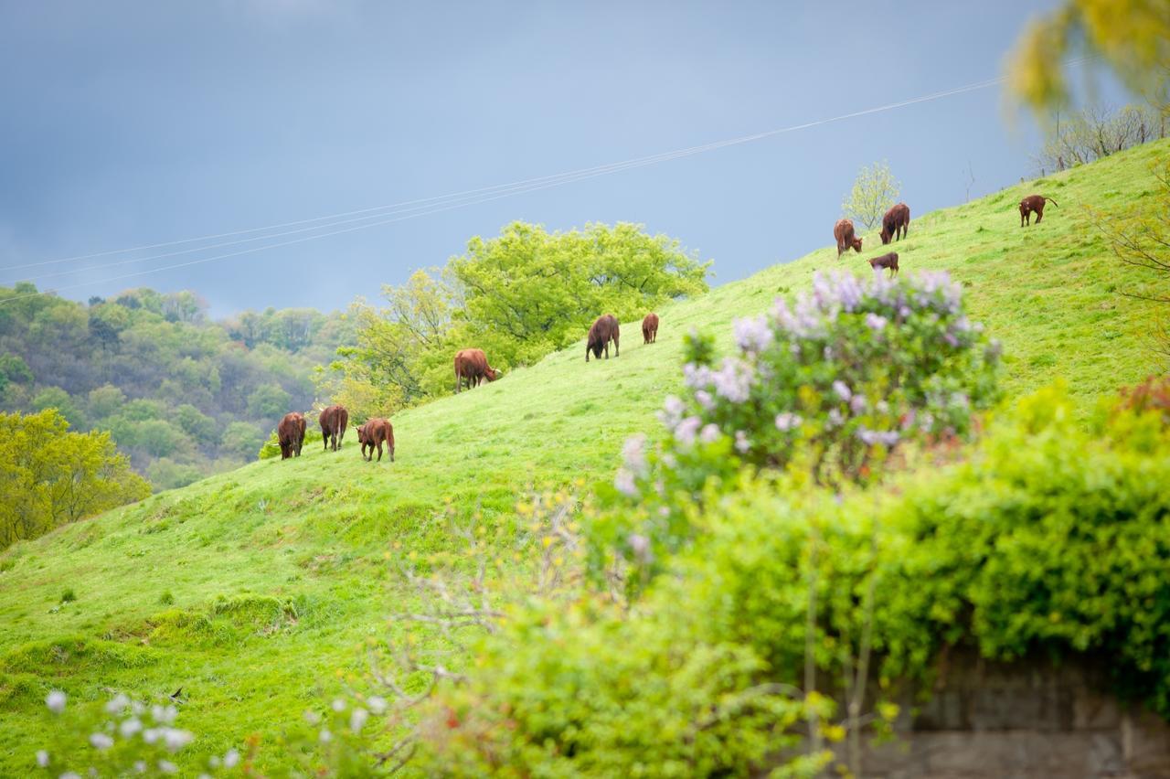 La Ferme Du Cayla Villa Linac ภายนอก รูปภาพ